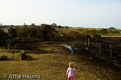 Riversbend fire Riversbend Fire